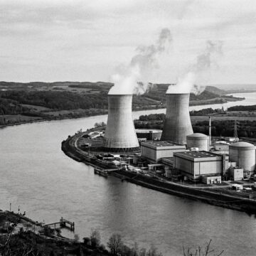Nuclear_power_plant_Europe Біомаса проти атома: як морська фауна зупиняє ядерні реактори